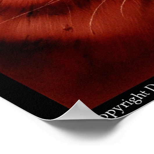 tijger poster (Hoek)