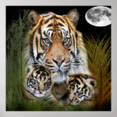 tijger poster (Voorkant)