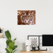tijger poster (Thuiskantoor)