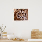tijger poster (Keuken)