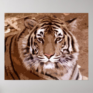 tijger poster