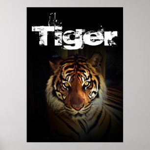 tijger poster