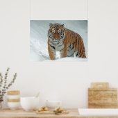 Tijger Poster (Keuken)