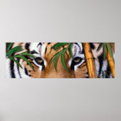 tijger poster (Voorkant)
