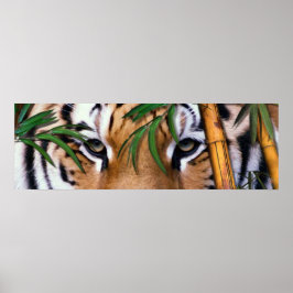 tijger poster