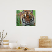 tijger poster (Keuken)