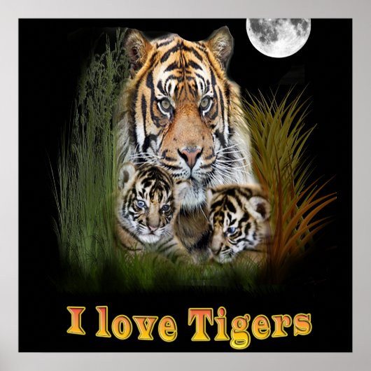 tijger poster (Voorkant)