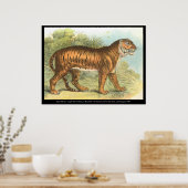 tijger poster (Keuken)