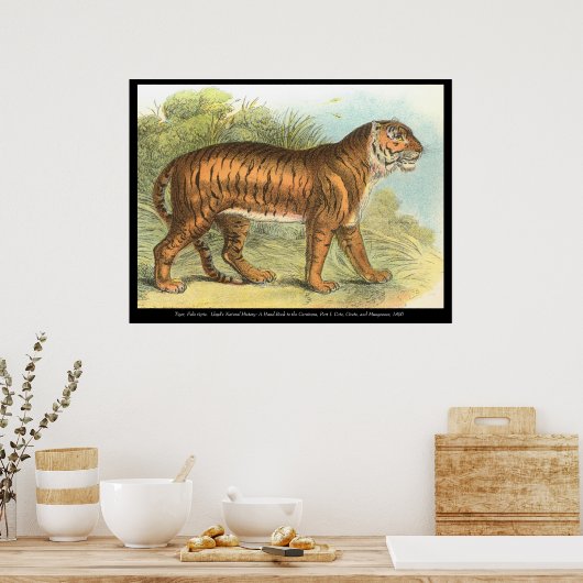 tijger poster (Keuken)