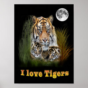 tijger poster