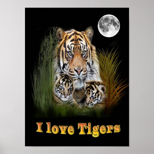 tijger poster (Voorkant)