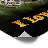tijger poster (Hoek)