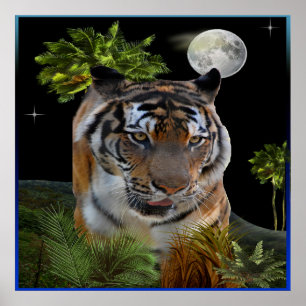 tijger poster