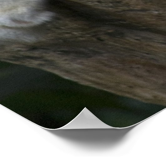 Tijger Poster (Hoek)