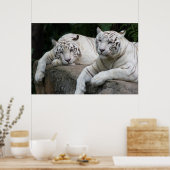 Tijger Poster (Keuken)