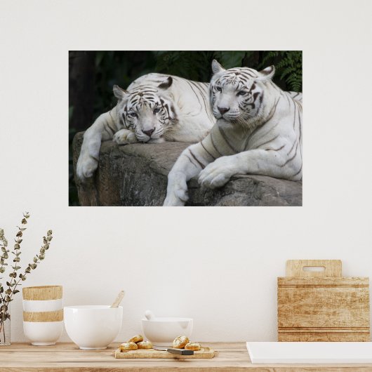 Tijger Poster (Keuken)