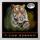 Tijger posters (Voorkant)