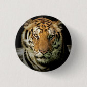 tijger ronde button 3,2 cm (Voorkant)