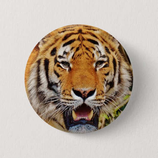 tijger ronde button 5,7 cm (Voorkant)