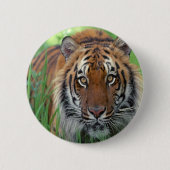 tijger ronde button 5,7 cm (Voorkant)