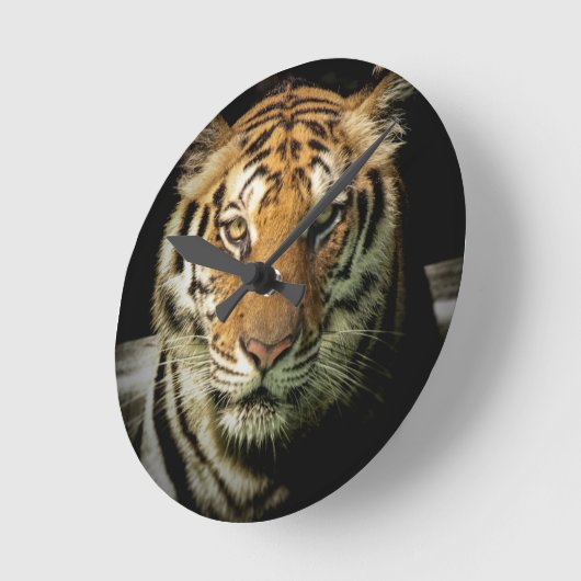 tijger ronde klok (Hoek)