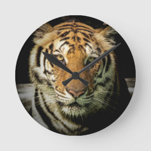 tijger ronde klok