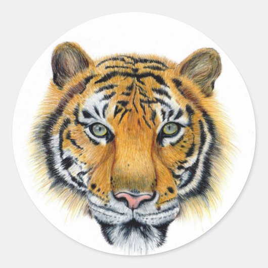 tijger ronde sticker (Voorkant)