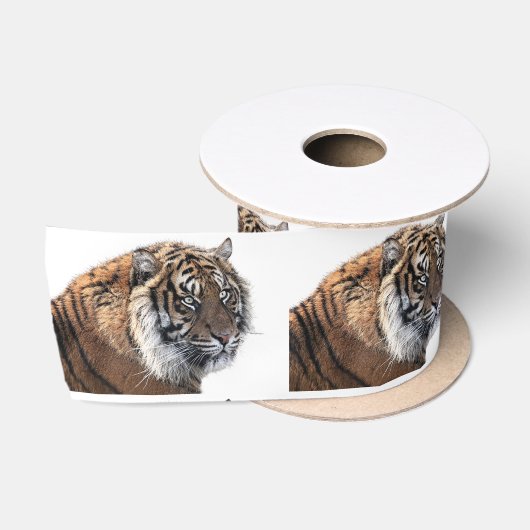 tijger satijnen lint (Spoel)
