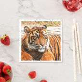 tijger servet (Insitu)