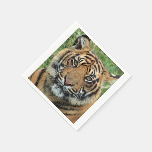 tijger servetten (Hoek)