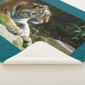 Tijger Sherpa Deken (3/4)