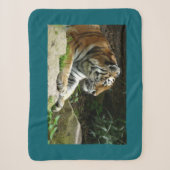Tijger Sherpa Deken (Voorkant)