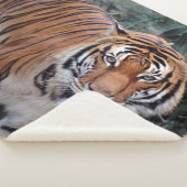 Tijger sherpa deken (3/4)