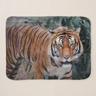 Tijger sherpa deken