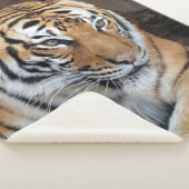 Tijger Sherpa Deken (3/4)