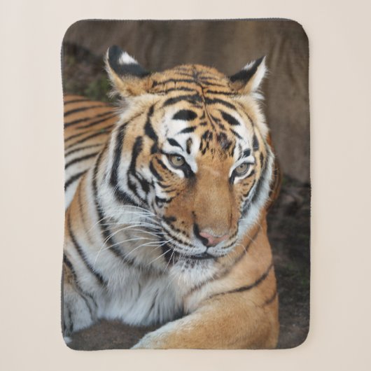 Tijger Sherpa Deken (Voorkant)