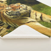tijger sherpa deken (3/4)