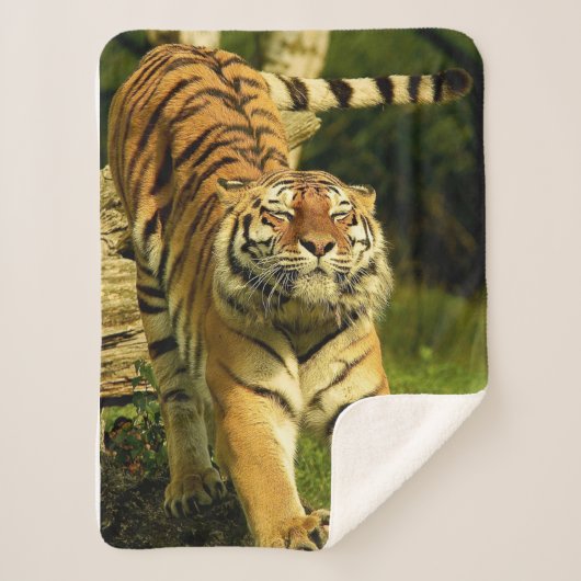 tijger sherpa deken (Voorkant)