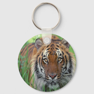 tijger sleutelhanger