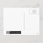 Tijger Sneeuw Engel Vakantie Ansichtkaart Feestdagenkaart (Achterkant)