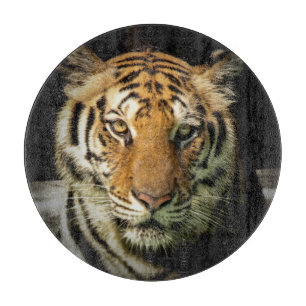 tijger snijplank