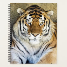 Tijger spiral Weekly/Maandelijkse Planner