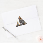 Tijger & Stel Kunstprint Sticker (Envelop)