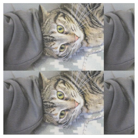 tijger stof (Close Up)