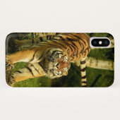 Tijger Stretching Good Morning World Case-Mate iPhone Case (Achterkant (horizontaal))