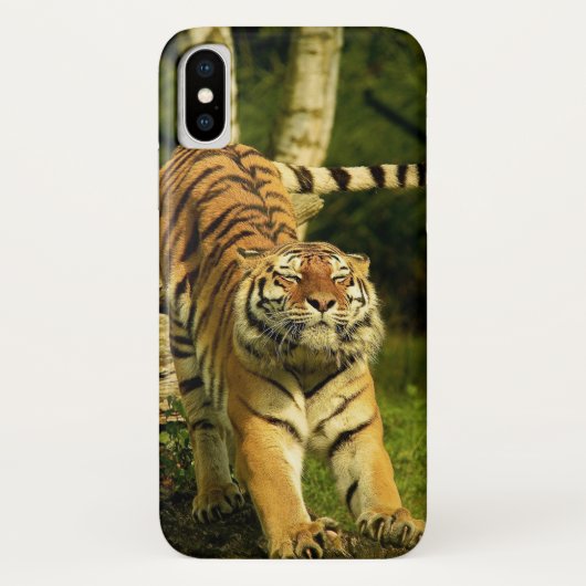 Tijger Stretching Good Morning World Case-Mate iPhone Case (Achterkant)