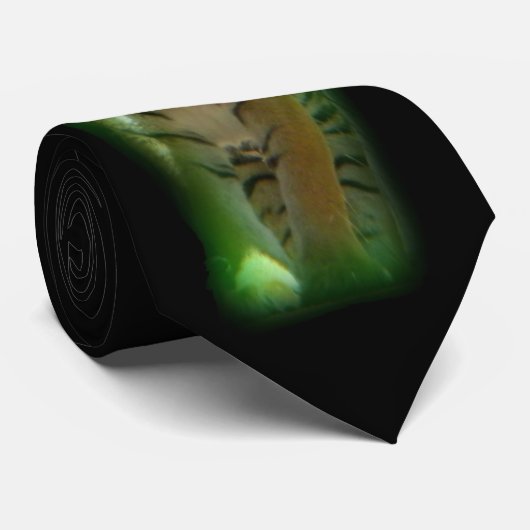 tijger stropdas (Opgerold)