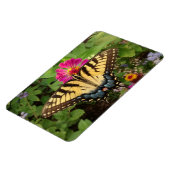 tijger Swallowtail Butterfly 4"x6" Magnet Magneet (Linkerzijde)
