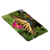 tijger Swallowtail Butterfly 4"x6" Magnet Magneet (Rechterzijde)