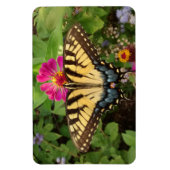 tijger Swallowtail Butterfly 4"x6" Magnet Magneet (Verticaal)